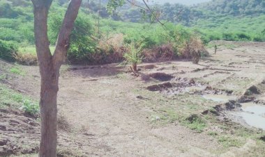 तालाबों में जगह जगह हो रहे अतिक्रमण, प्रशासन मौन।