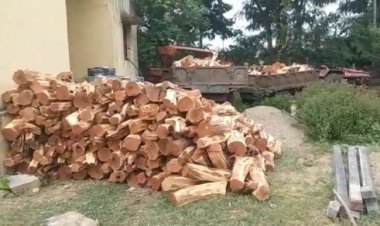 खैर की लकड़ी की तस्करी पर वन विभाग आया हरकत में