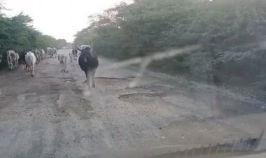 बीजेपी नेताओं की खुल गई पोल 1 माह बीत जाने के बावजूद रोड ऐसी की ऐसी झूठी वाहवाही लूट कर चल पड़े नेताजी