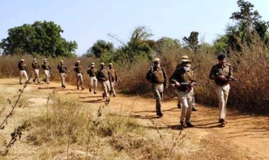 जनपदीय  पुलिस द्वारा अपने  अपने क्षेत्रों के दूरस्थ तथा जंगली इलाकों में मयपीएसी की गयी सघन काम्बिंग