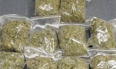 ई-कॉमर्स कंपनी अमेजन: गांजा डिलीवरी रैकेट,कोई फिजिकल वेरिफिकेशन नहीं