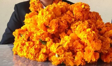 प्रदेश सचिव गीता गौर को किया गया सम्मानित