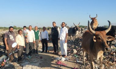 भीनमाल जनक्रांति मंच की पहल आई कारगर डंपिंग यार्ड के लिए तत्काल टेंडर नगर पालिका द्वारा जारी 