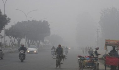 उदयपुर में घने कोहरे के साथ सर्दी बढ़ी।