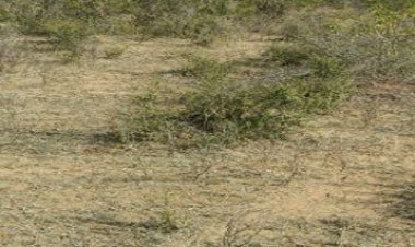 विधायक संयम लोढ़ा के प्रयास लाए रंग, खेल  स्टेडियम बनने को लेकर रास्ता हुआ साफ।