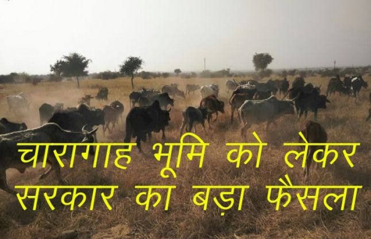 परिवारों को मिलेगा अधिकतम 100 वर्गमीटर का पट्टा