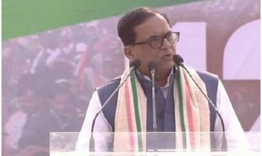 बसपा के कार्यकर्ता बूथ-बूथ में जाकर कर रहे मीटिंग: सतीश चंद्र मिश्रा