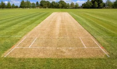 क्रिकेट के मैदानों का गांव 'बलियावास', सांसद परीमल नाथवाणी ने सोशल मीडिया पर दी जानकारी