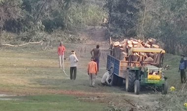 परमिट की आड़ में प्रतिबंधित हरे पेड़ों का हो रहा है अवैध कटान जिम्मेदार कौन