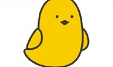 विधानसभा चुनाव में स्टार प्रचारक बने प्रत्याशी उठा रहे बहुभाषी सोशल मीडिया Koo App का फायदा