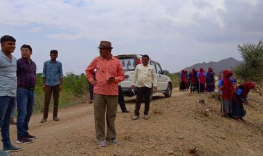 मुख्य कार्यकारी अधिकारी ने ग्राम पंचायत उड़वारिया मे चल रहे कार्यो का किया अवलोकन,पंचायत में हो रहे कार्यो की सराहना की।