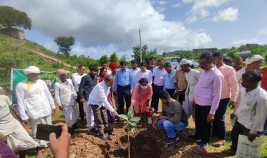 ग्राम पंचायत उड़वारियाँ मे तहसील स्तरीय वृक्षारोपण कार्यक्रम का हुआ आयोजन, अधिकारी रहे उपस्थित। 