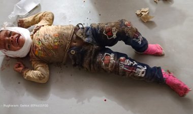 बाड़मेर: सिणधरी: सड़क किनारे चलते राहगीरों पर बरपा रफ्तार का कहर..!!*