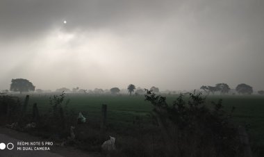 इंदौर में बड़ी ठंडक  नए साल में कड़कड़ाती ठंड और शीतलहर का कहर जिला कलेक्टर ने स्कूलों को लेकर दिया आदेश