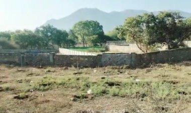 मृत मवेशियों की जमीन पर सरपंच ने किया कब्जा, पंचायत समिति की सदस्य ने की शिकायत