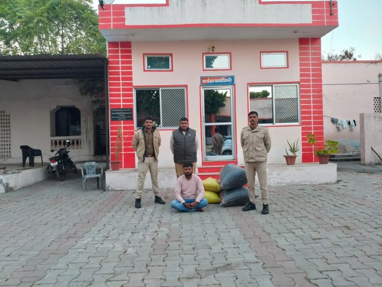 अवैध मादक पदार्थ के विरुद्ध चलाई जा रही धड पकड़ कार्यवाही में खेरोदा पुलिस थाने की बड़ी कार्रवाई  46 किलाेग्राम डाेडा चूरा सहित 01 तस्कर गिरफ्तार 