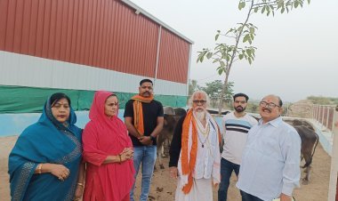 सरकार ने इस बजट में 15 प्रतिशत अनुदान राशि बढ़ाई  जिले की 25 गौशालाओं के 10875 गौवंशो को मिलेगा लाभ