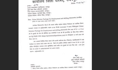 सरकार ने निकाली 21 से 24 वर्ष के युवाओं के लिए PMIS के माध्यम से 500 से अधिक प्रतिष्ठित कंपनियों में जॉब पाने का सुनहरा मौका
