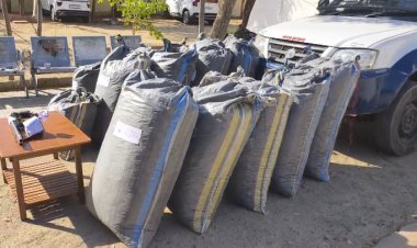 गुड़ामालानी: कैश ट्रांजिट वैन से नशे की बड़ी खेप पकड़ी, 80 लाख की डोडा-पोस्त जब्त