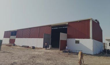 गौसेवा की अनूठी मिसाल: खुले में गौ ग्रास व आहार को नुकसान होते देख भामाशाहों ने किया अद्भुत कार्य