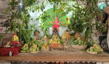 जय श्री काली कल्याण मंदिर में कल्ला जी बावजी राज को 501 आमों का भोग, श्रद्धालुओं में बांटा गया प्रसाद