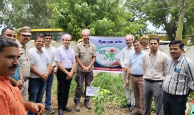 उदयपुर में वेटलैंड क्षेत्रीय कार्यशाला के दूसरे दिन केंद्रीय वन मंत्रालय के संयुक्त सचिव ने किया पौधरोपण