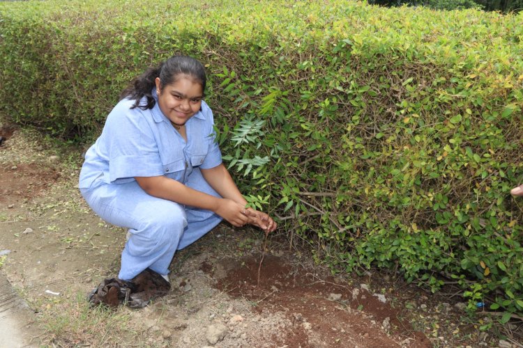 यू.एस. ओस्तवाल कॉलेज, मंगलवाड़ में एनसीसी केडेट्स और छात्र-छात्राओं ने चलाया पर्यावरण संरक्षण हेतु वृक्षारोपण अभियान