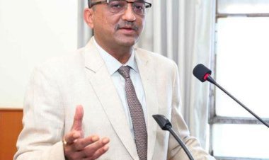 डॉ. नरेंद्र सिंह राठौड़ ICAR प्रबंधन मंडल में नामित | कृषि शिक्षा और अनुसंधान को नई दिशा