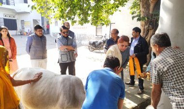 सफल शासन के दो वर्ष: उदयपुर में 300 से अधिक आरोग्य शिविर, 590 यूनिट रक्त संग्रह और स्वच्छता अभियान