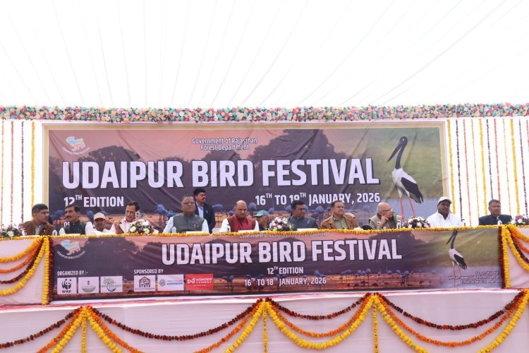 12th Udaipur Bird Festival 2026 Begins at Menar Ramsar Site | Udaipur News