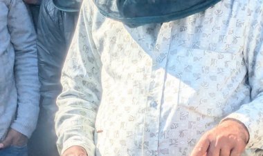 मधुमक्खी पालन पर राज्य सरकार का बड़ा अनुदान, किसानों की बढ़ेगी आय